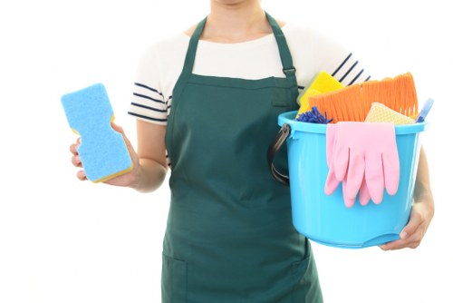 Professional pet stain odour removal service in a Romford home