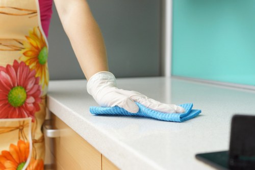 Deep cleaning carpet treatment for pet urine stains and odours