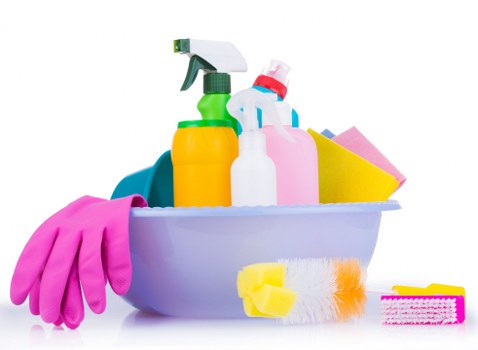 Pet odour removal process for carpets and upholstery in Romford