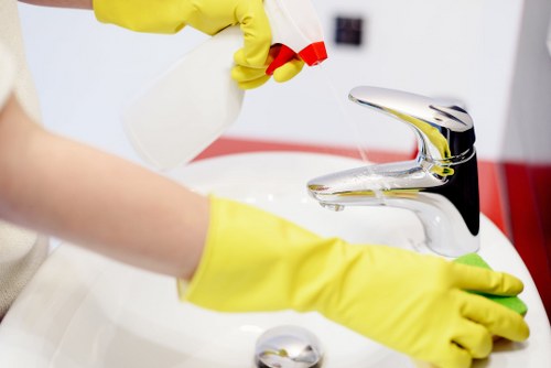 Deep carpet cleaning equipment in Romford property