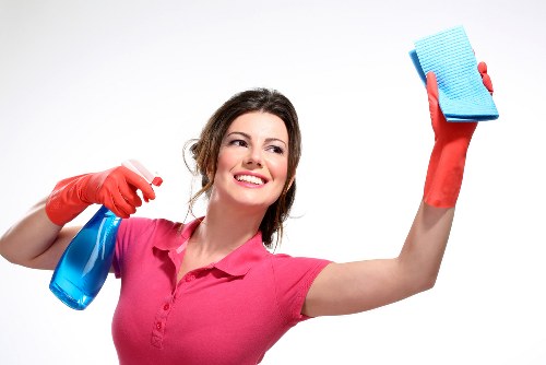Specialist cleaning equipment used for pet stain odour removal