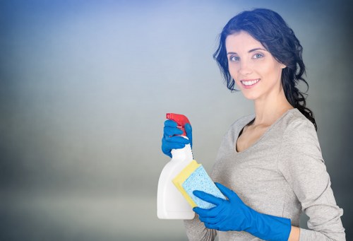 Service issue details documented for carpet cleaning complaint assessment