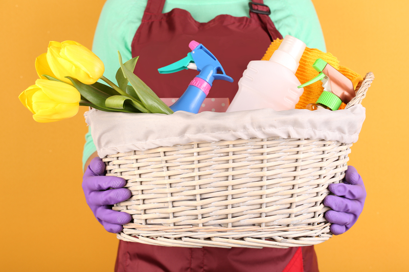 carpet cleaners Clean